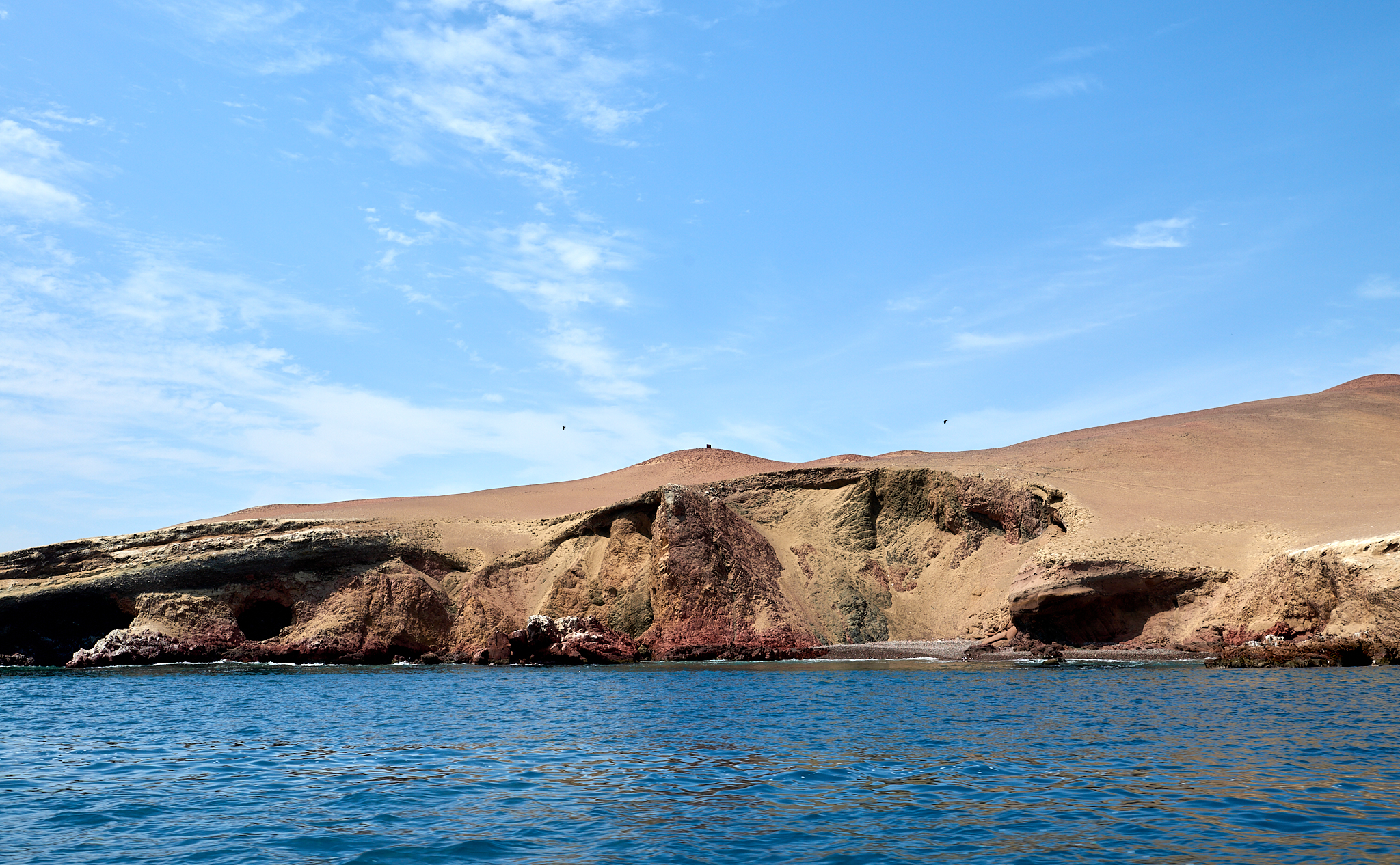 20200304 094 [페루] 바예스타섬